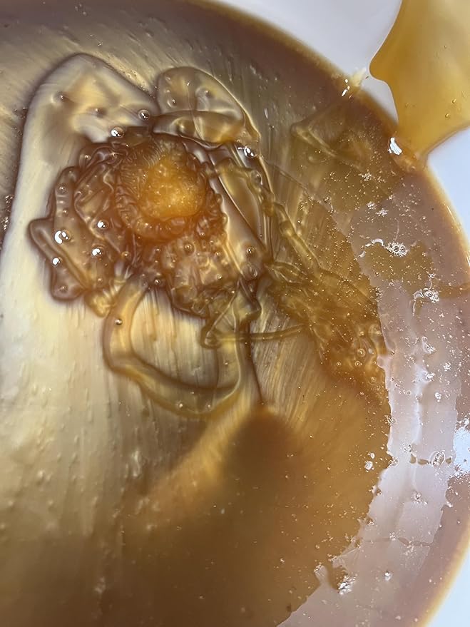 Laconic Foods | Vanilla Fir Honey | PDO Greek Honey | Rare Raw Honeydew from the Mountains of Greece | Non-Crystallizing | Woman-Owned | 315g