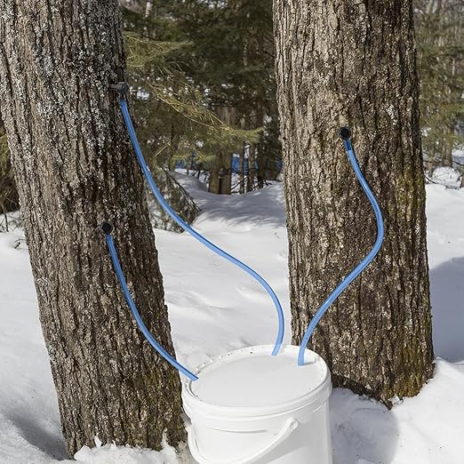 Maple Syrup Tapping Kit Upgrade Maple Taps Set Include (30) Maple Syrup Taps 66 -Ft Food Grade Tubing 1 Drill Bit Maple Tree Tapping Kit for Experts or Beginners (30 SET)