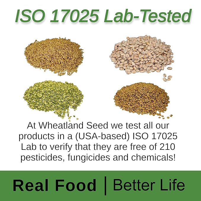 Hard White Wheat Berries : Wheatland™ : 25 lb Bulk: Emergency Preparedness : Mylar : Oxygen Absorber : 30 Year Shelf Life : Non GMO: NO Glyphosate : Long Term Food Storage