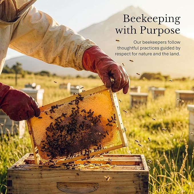 Bees &amp Trees Manuka Honey 350+ MGO - Raw Pure New Zealand Monofloral Honey – Unpasteurized &amp Natural Unfiltered Manuka for Tea Coffee Dressings Smoothies &amp Daily Use – Glass Jar 380g (