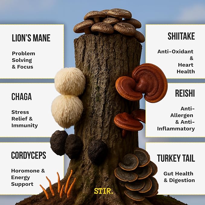 STIR Premium Instant Mushroom Coffee | Lion’s Mane Chaga Reishi Cordyceps Shiitake Turkey Tail | Organic Cacao Vanilla Coconut MCTs | Focus Energy Digestion Support | 30 Servings