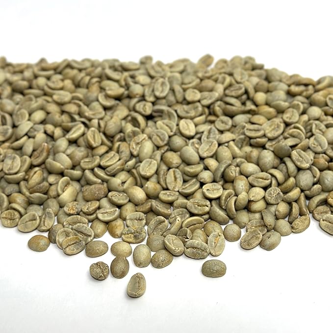 Current Crop Roasting Shop India Mysore Nuggets Green Coffee Beans – Unroasted Arabica for Home Roasting – Chikmagalur Single Origin Washed Process 3-Pound Bag