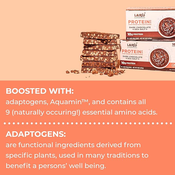 Laird Superfood Functional Protein Bars – Protein Bar but Better with Real Ingredients Functional Mushrooms 10g Plant-Based Protein 6g Fiber - Non-GMO - Dark Chocolate Sea Salt 10 Count (Pack of 1)