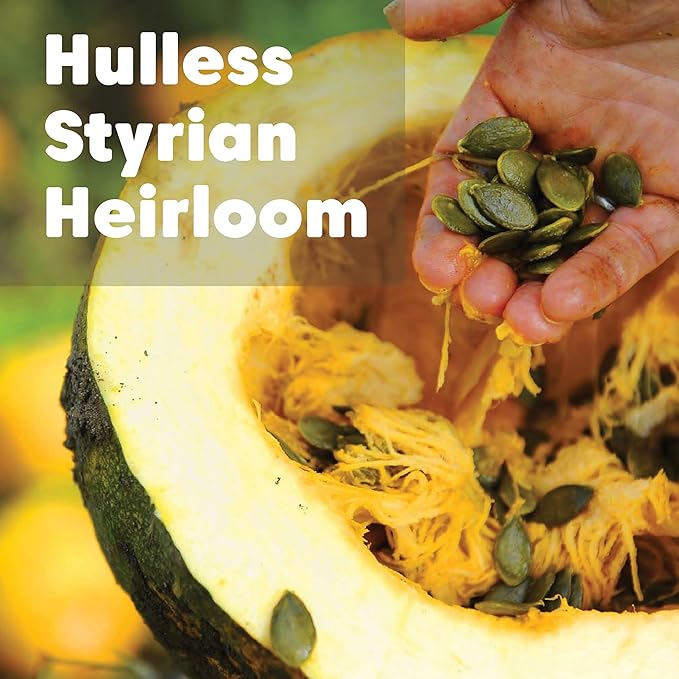 Wilderness Poets Organic Heirloom Pumpkin Seeds - Styrian Variety No Shells Naturally Hulless. Unsalted Bulk Size Grown in Oregon USA or Europe (32 Ounce - 2 Pound)