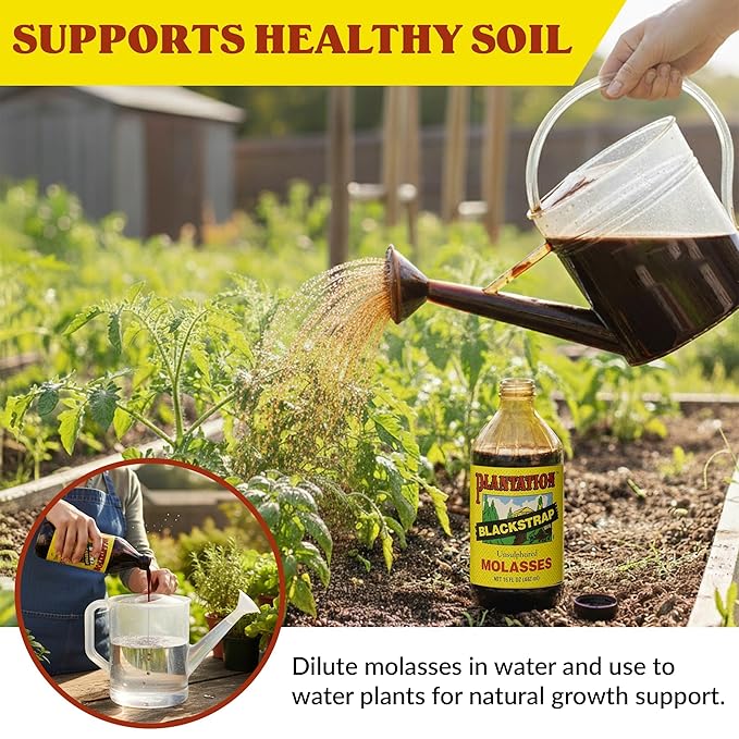 Plantation Blackstrap Molasses 15 oz (Pack of 2) – Unsulphured Blackstrap Molasses Rich Natural Sweetener for Baking BBQ Baked Beans Gingerbread &amp Beverages