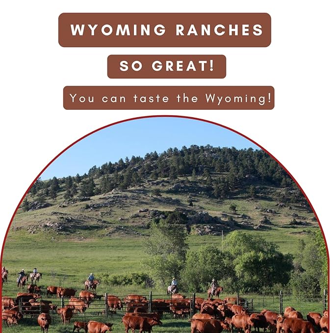 Wyoming 100% Grass Fed Beef Sticks - Fired Up Jalapeño Flavor - Clean Tasty Meat Sticks snacks with 6g of protein made with Angus Beef Sticks Nitrate Free Jerky Meat Sticks - No Artificial Ingredien