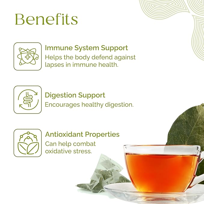 Organic Pharmacist Premium Soursop Tea Bags Graviola Leaf Tea Guanabana Teas Guyabano Herbal Tea Soursop Bitters Teas Shredded Ground Leaves 40 Count