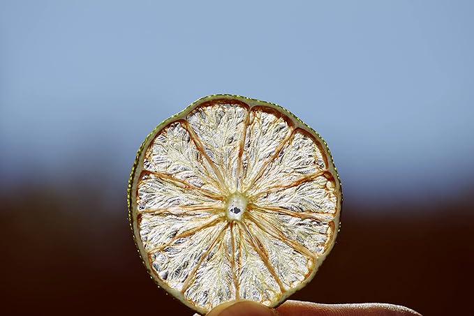 Dehydrated Lime Slices Citrus Immune Booster to Infuse Water Cocktails GarnishSelf Care Wedding/Fall/Holiday Decor 80 Slices