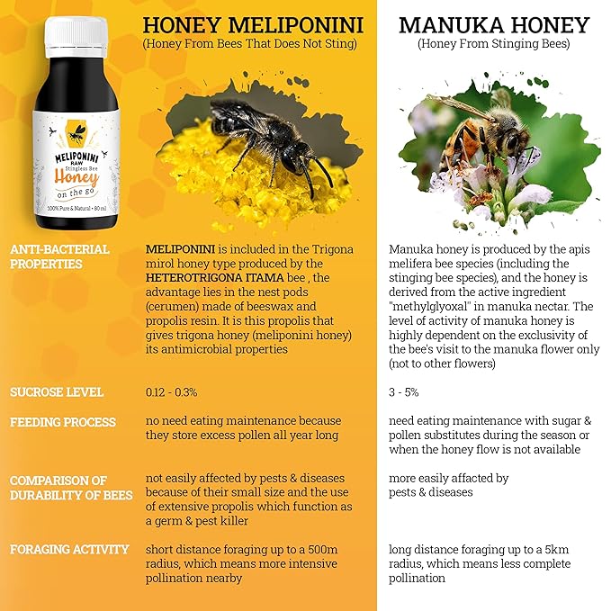 Meliponini Honey 80ML &amp TraBoost Stingless Bee Honey Gold 250 ML