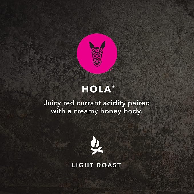 Kicking Horse Coffee Hola Light Roast Ground 284 g (Pack of 6) - Certified Organic Fairtrade Kosher