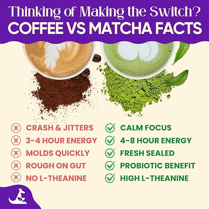 Mushroom Matcha 150g (25 servings 70mg Caffeine Zero Sugar) with Lion’s Mane Cordyceps Reishi Chaga | Adaptogenic Nootropic Calm Energy Gut Support &amp Cognitive Improvement | Miaroo
