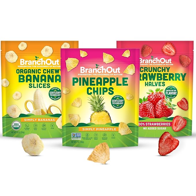 BranchOut Pineapple Chips (7 oz) Chewy Banana Slices (10 oz) and Crunchy Strawberry Halves (6 oz) Bundle No Sugar Added GentleDry Better than Freeze Dried Healthy Vegan Snacks for Kids &amp Adul