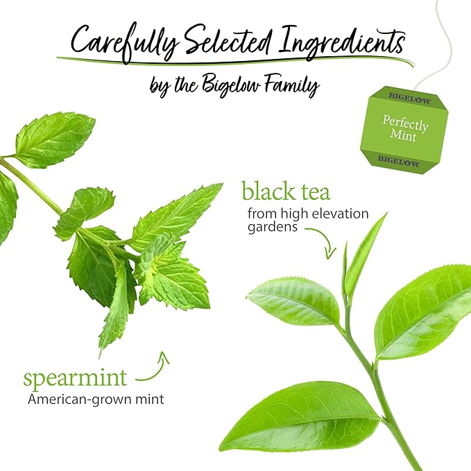 Bigelow Tea Perfectly Mint Black Tea Caffeinated with Spearmint 20 Count Box (Pack of 6) 120 Total Tea Bags