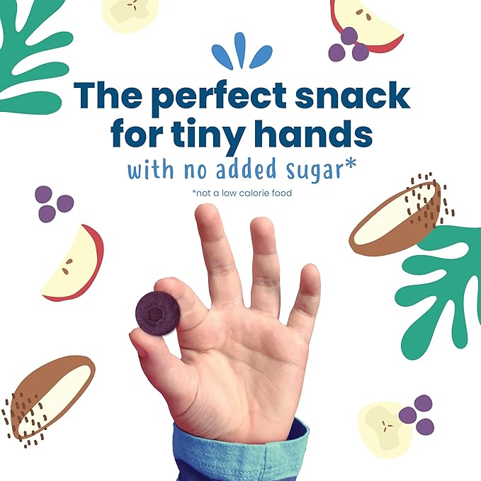 Amara Organic Fruit Bites Blueberry - No Artificial Colors/Dyes Added Sugar Dairy-Free Fruit Snacks Made with Organic Whole Foods Healthy Fruit Snacks for Kids - 6 Pack