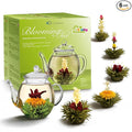 Creano Blooming Tea Gift Set with Glass Teapot 17oz (500ml) - Green Tea Fruity Flavoured Tea Flowers in 6 Varieties - Flowering Tea Gift for Easter