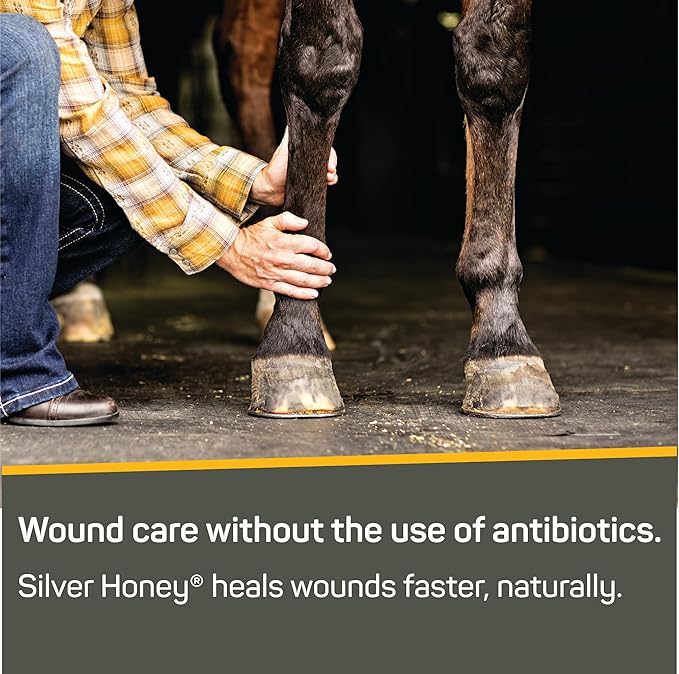 Absorbine Silver Honey Rapid Wound Repair Ointment 2oz Tube Manuka Honey + MicroSilver BG Horse &amp Large Animal Wound Care