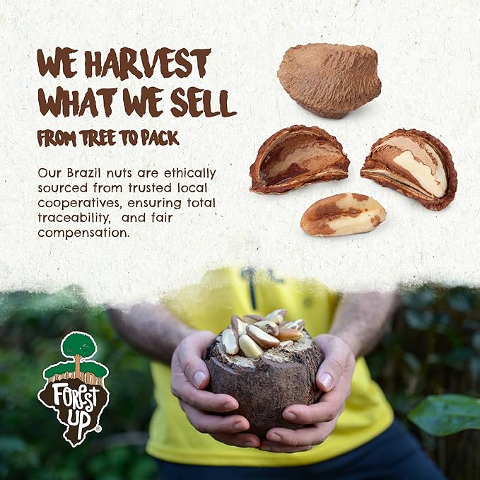Snack The True Organic Brazil Nuts 32oz-2lbs – Roasted &amp Himalayan Salt – Kosher – Healthy-Rich in Vegetable Protein – From Amazon Rainforest – Fresh Vegan Gluten-Free and Oil Free – Forest Up