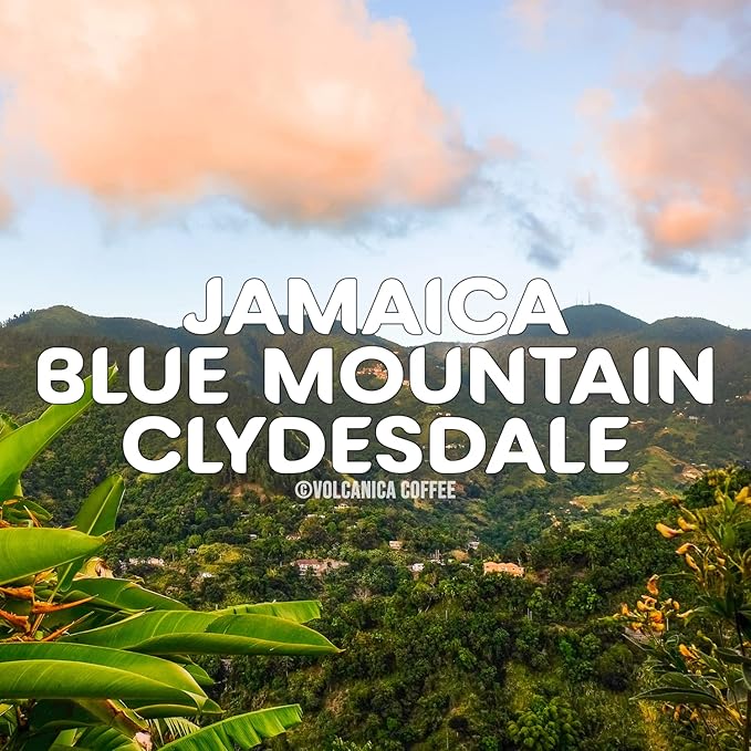 Jamaica Blue Mountain Coffee 100% Pure Ground Coffee Fresh Roasted 16-ounce