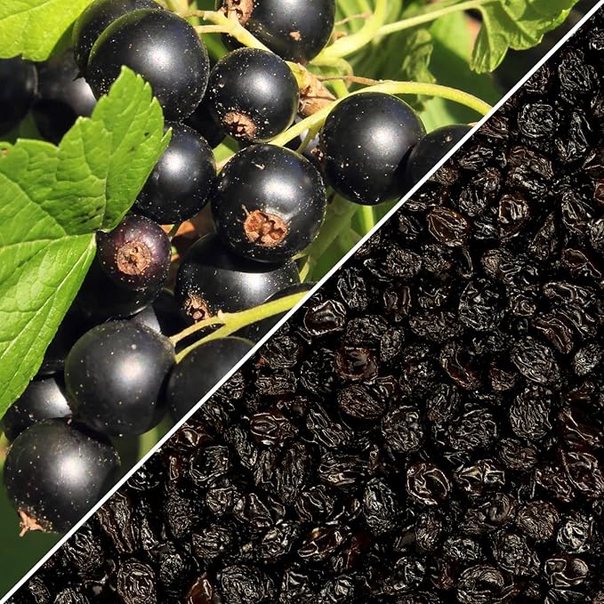 Dried Zante Currant Raisins by Its Delish 3 Lbs Bulk Bag | Black Currants Dried Fruit for Snacking and Baking | Vegan Kosher