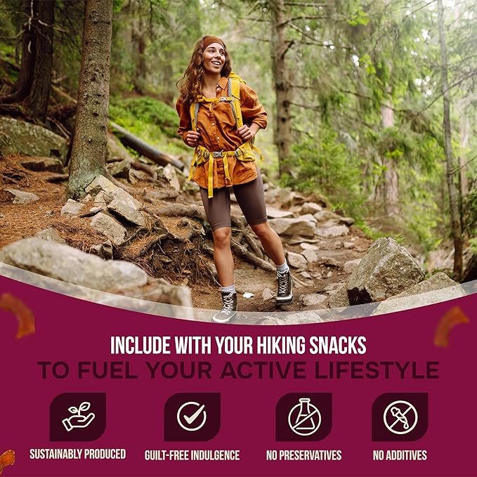 GOANA Tuna Jerky Bites Ginger Honey High Protein Fish Snack Wild Caught Ahi Tuna Keto Paleo Low Carb Sugar Free Gluten Free Low Sodium 2 oz (2 Pack)