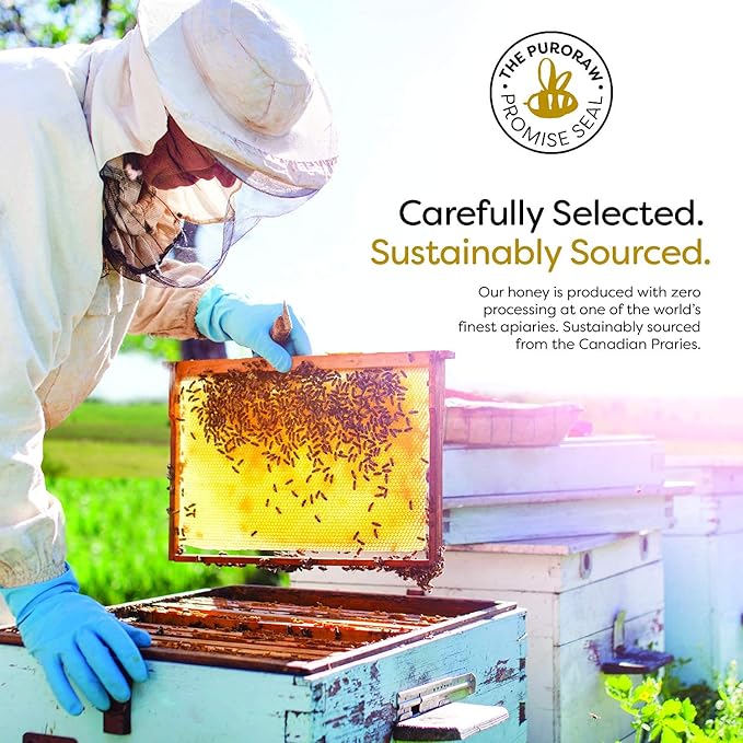 Raw Honey 2.2 lb. White Honey Raw Unfiltered Honey Pure Honey Natural Honey Raw Unfiltered White Raw Honey from the Canadian Prairies. Kosher. 2.2 pounds. By PuroRaw.