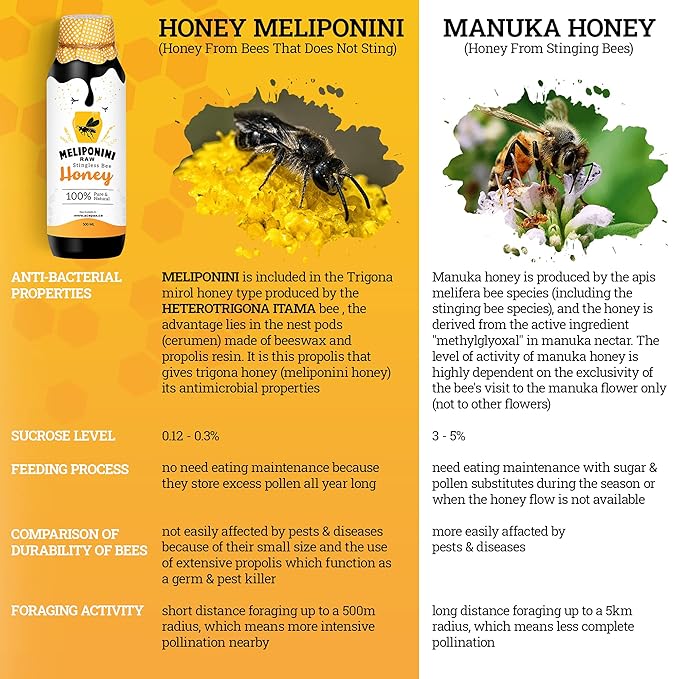 Meliponini Honey 500 ML and TraBoost Stingless Bee Honey Gold 250 ML
