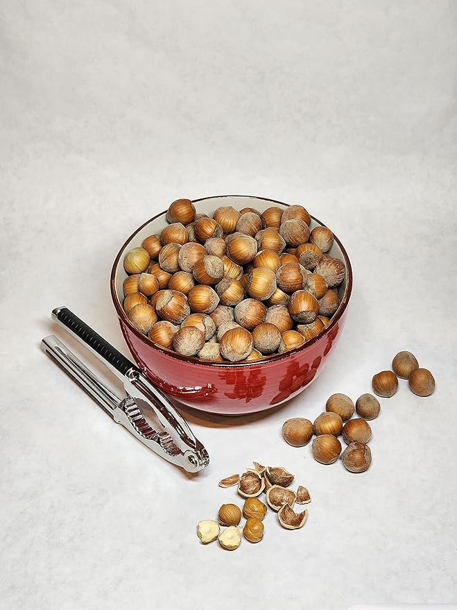 Hazelnuts in-shell from our family orchard in Washington state (Raw 4 pounds)