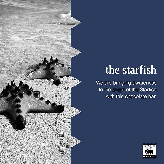 Endangered Species 60% Cocoa Raspberry Filling Dark Chocolate Bar Non GMO 3 Ounces (Pack Of 12)