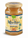 Rigoni di Asiago Mielbio Organic Italian Raw and Creamy Honey Wildflower 6 Count