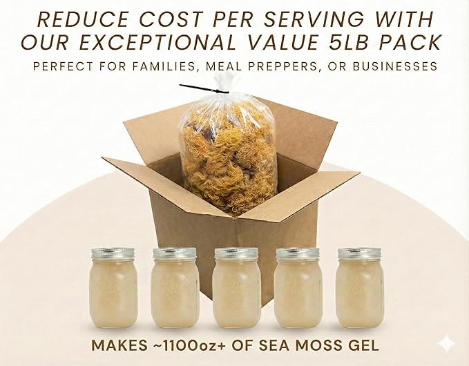 5 lb Bulk Raw Wildcrafted Sea Moss – Makes ~1100 oz Gel – Ideal for Juice Bars &amp Gel Makers (St. Lucia)