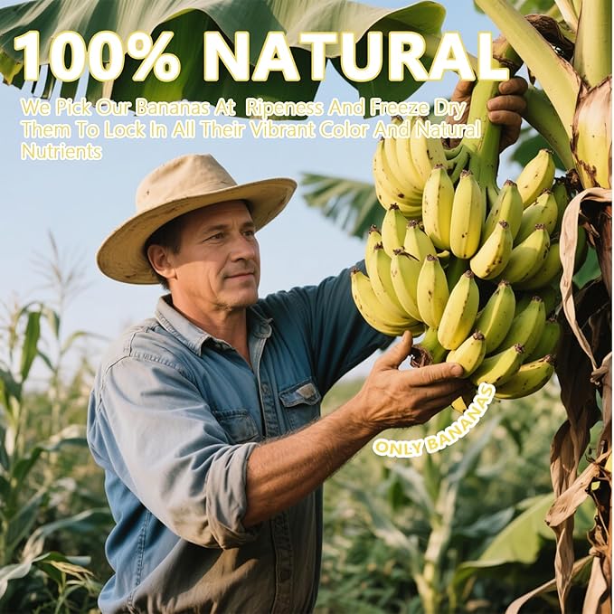 QZLGD Freeze Dried Bananas Freeze Dried Fruit Banana Chips 11.28oz/320g 100% Natural No Added Sugar Crunchy Fruit Snack for Baking or Adding to Breakfast Cereal Yogurt