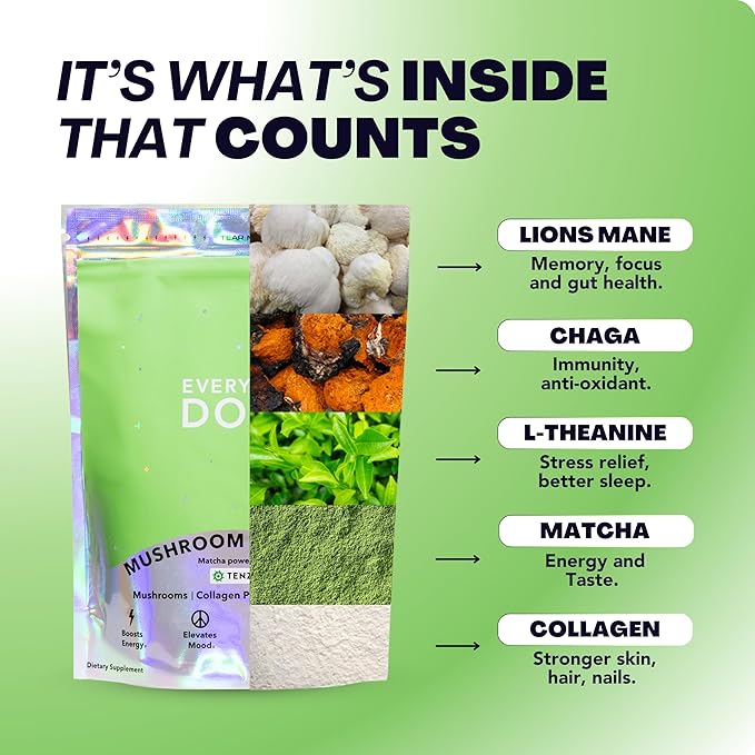 Everyday Dose Mushroom Matcha+ Ceremonial Grade Matcha Powder - Japanese Tea With Grass-Fed Collagen Lion's Mane Chaga L-Theanine - For Better Focus Energy Digestion and Immunity - 30 Servings