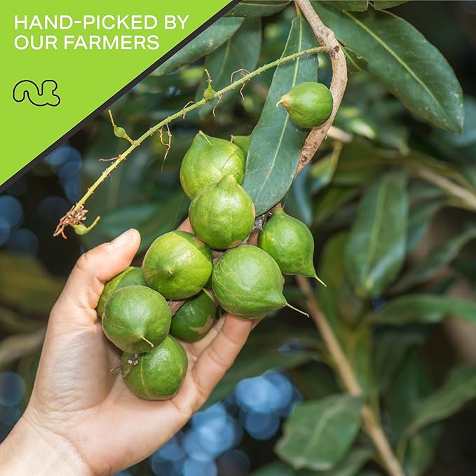 NUT CRAVINGS - Roasted &amp Salted Macadamia Nuts - No Shell (80oz - 5 LB) Bulk Nuts Packed Fresh in Resealable Bag - Healthy Protein Food Snack Food Assortments Hazelnut