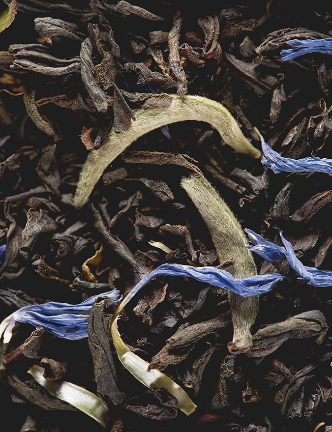 Dammann Freres Sachets Earl Grey Tea Bags Premium Gourmet French Black And Citrus Infused Tea 25 Count (Single Pack)