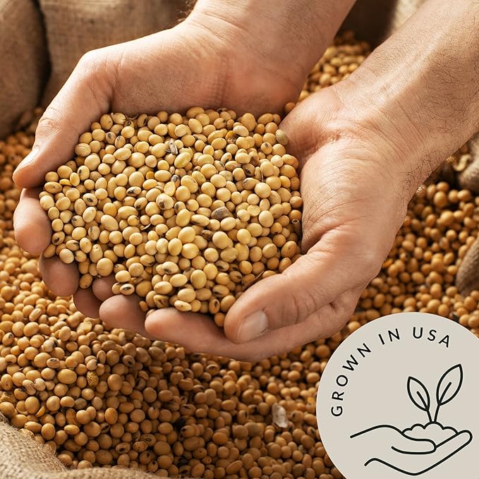 Be Still Farms Organic Soybeans - Soy Beans Dry (2.8 lb) aka Soya Nuts - Great for Edamame Soy Milk Tofu - High in Protein &amp Fiber | USA Grown | USDA Certified | Vegan | Non-GMO | Gluten Free