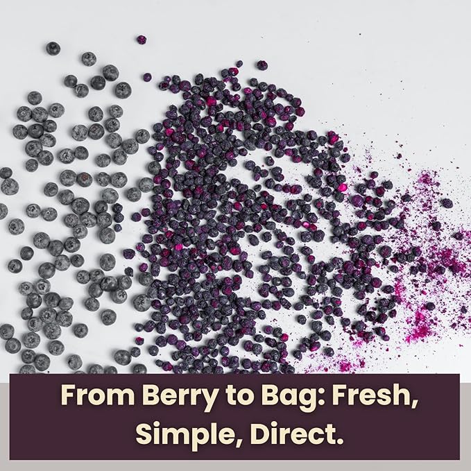 Wise Harvest Freeze-Dried Blueberries – Five 1oz Packs | Single Ingredient Snack | Real Fruit No Sugar Added Just Crunch | Healthy Vegan Gluten-Free Snack for Kids &amp Adults