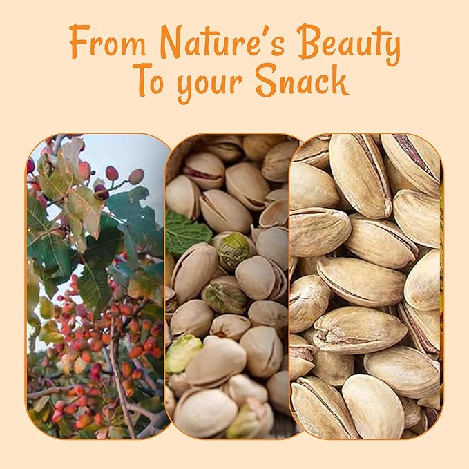 Oh! Nuts Pistachios Iranian Style - Roasted Lightly Salted - 1 lb - Shelled Whole Nuts - Packed in New York Zip-Seal Bag for Exceptional Freshness
