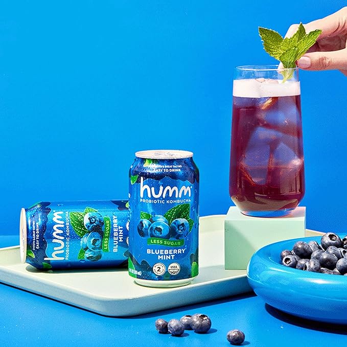 Humm Probiotic Kombucha The Original Variety 12 Pack Organic 2 Billion Probiotics for Gut Health Mango Passionfruit Blueberry Mint and Strawberry Lemonade