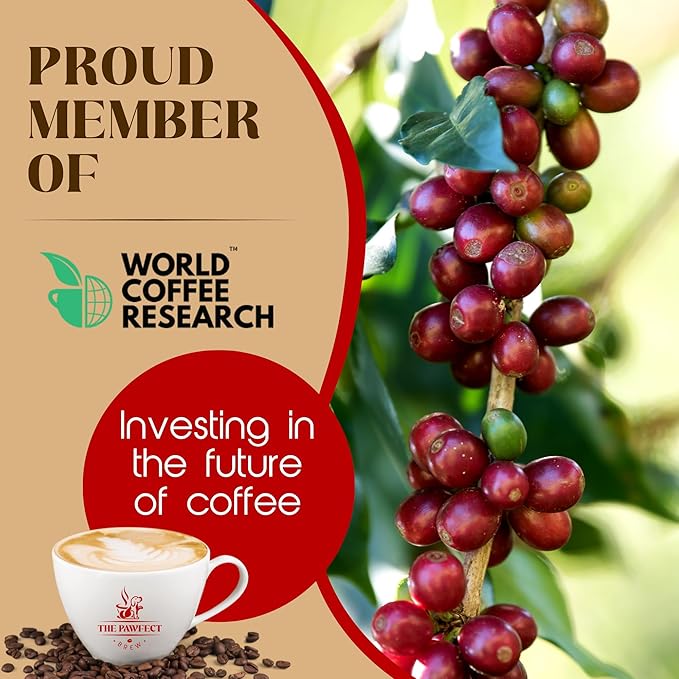 Dog Lover’s Coffee – French Vanilla by The Pawfect Brew | Medium Roast Whole Bean 1 lb Bag | Naturally Flavored Freshly Roasted to Order | 25% Profits Donated to Animal Rescue