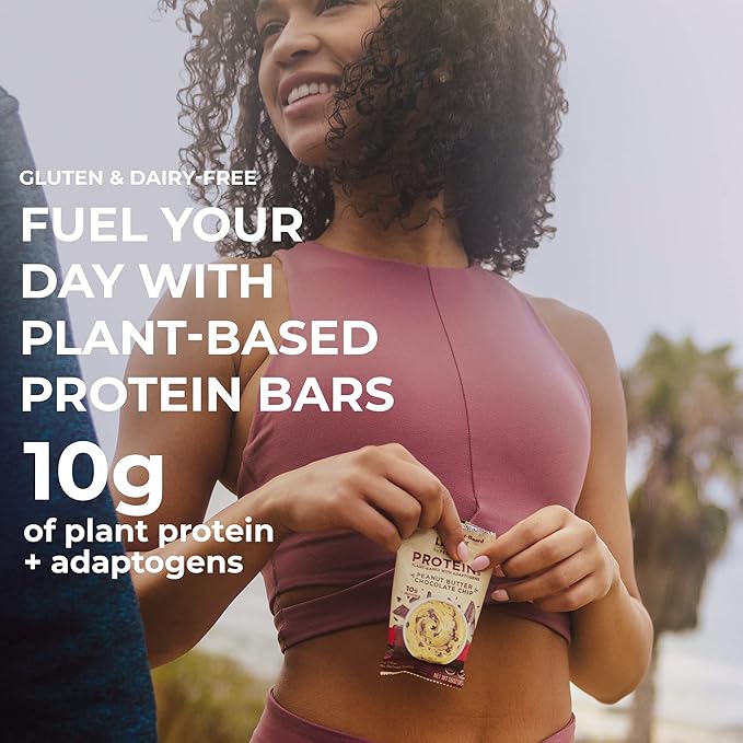 Laird Superfood Functional Protein Bars – Protein Bar but Better with Real Ingredients Functional Mushrooms 10g Plant-Based Protein 6g Fiber - Non-GMO - Peanut Butter Chocolate Chip 10 Count (Pack