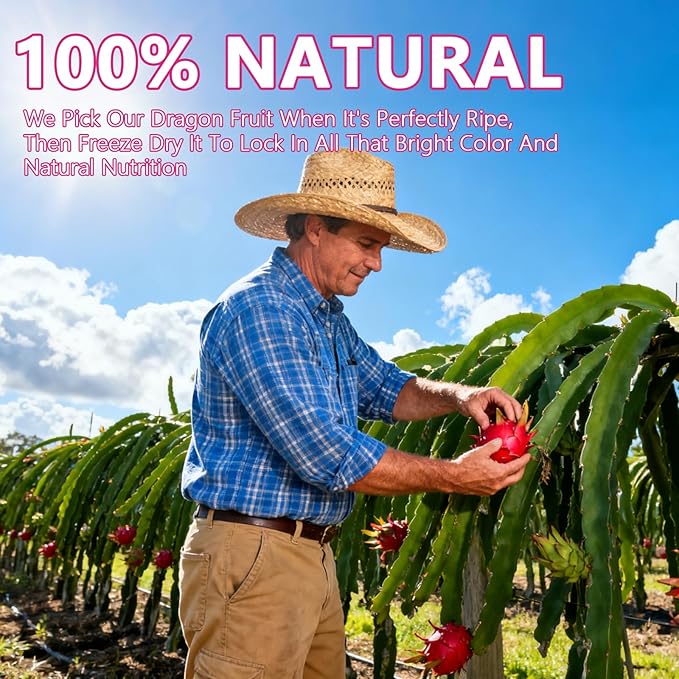 QZLGD Freeze-Dried Dragon Fruit 19.40Z/550g Freeze-Dried Fruit Dragon Frui-t Snacks No Sugar Added for Drink Baking Breakfast Cereal