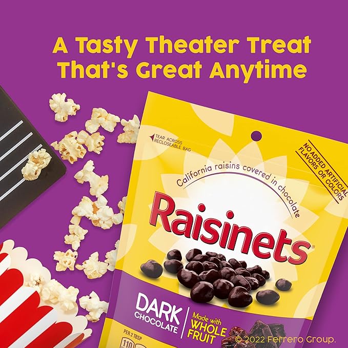 Raisinets Dark Chocolate Covered California Raisins Movie Theater Candy Box 3.1 oz each Bulk 15 Pack