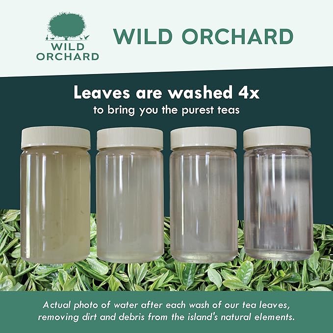 Wild Orchard Premium Green Tea - 100% Regenerative Organic Certified - Loose Leaf - USDA Organic - Sustainably &amp Regeneratively Cultivated on Jeju Island in South Korea - (Spring Green)