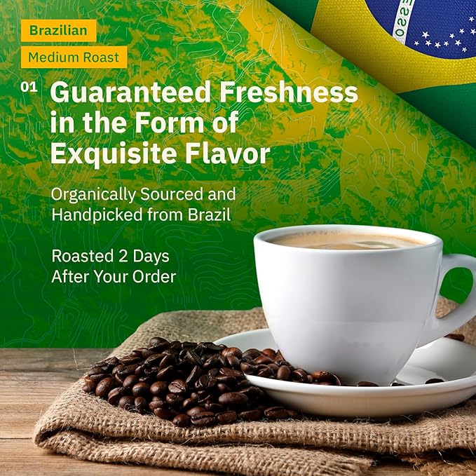 Kochere Brazilian Specialty Whole Bean Coffee – 2LB Medium Roast – Freshly Roasted to Order – Single Origin Farm Direct Smooth Cocoa Notes – Whole Bean