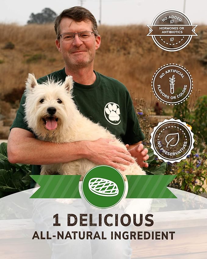 Wiley's Beef Jerky Pet Treats Grain Free All-Natural Human Grade Made in The USA (Beef 2-Pack 4 oz. Bags)