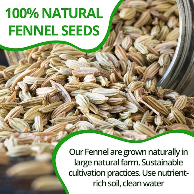 VIDA FARM 125 Fennel Tea Bags 100% Natural Dried Fennel Herbal Tea No Sugar No Caffeine