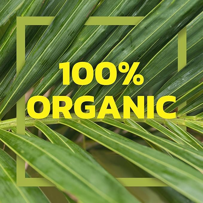 Native Forest Organic Unsweetened Premium Coconut Cream - Heavy Cream Dairy Substitute Dairy Free Non-GMO USDA Organic - 5.4 Fl Oz (Pack of 12)