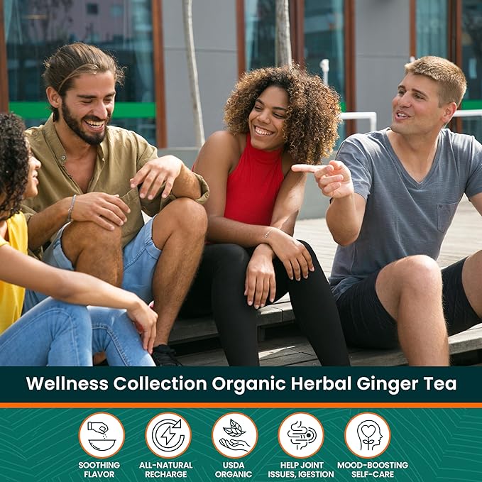 Herbaly Wellness Collection Tea - 8 Active Herbs - Improve General Health Strengthen Immunity - Natural Organic Non-GMO Vegan Sugar Free - 3 Pack 84 Pyramid Tea Bags