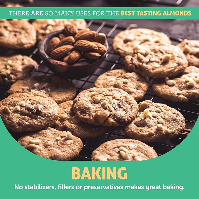 Crazy Richard's 100% All-Natural Creamy Dry Roasted Almond Butter with No Added Sugar and Non-GMO (16 Ounce Pack of 2)
