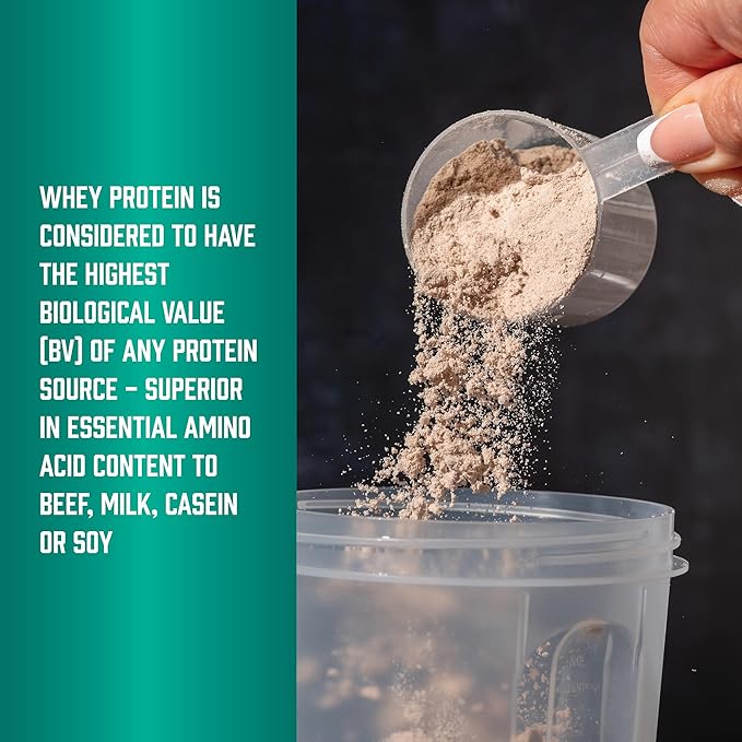 NOW Foods Sports Nutrition Whey Protein 24 G With BCAAs Creamy Chocolate Powder 2-Pound